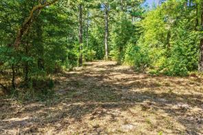 TBD County Road 1240 - Photo 13