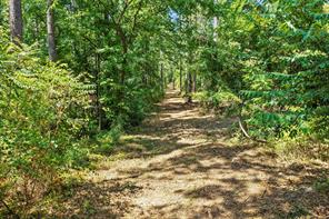 TBD County Road 1240 - Photo 14