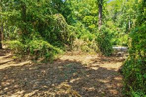 TBD County Road 1240 - Photo 15