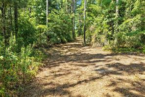 TBD County Road 1240 - Photo 16