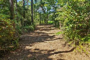 TBD County Road 1240 - Photo 17