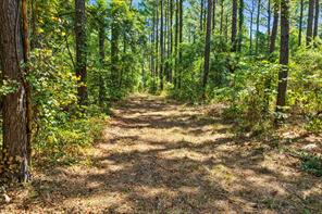 TBD County Road 1240 - Photo 18