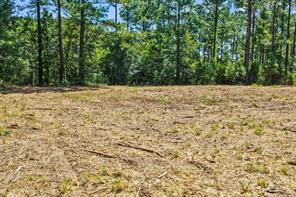 TBD County Road 1240 - Photo 19