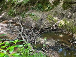 TBD County Road 1240 - Photo 2