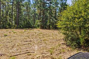 TBD County Road 1240 - Photo 20