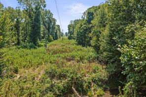 TBD County Road 1240 - Photo 21