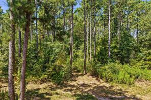 TBD County Road 1240 - Photo 22
