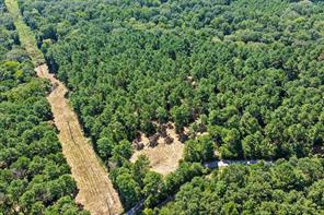 TBD County Road 1240 - Photo 5