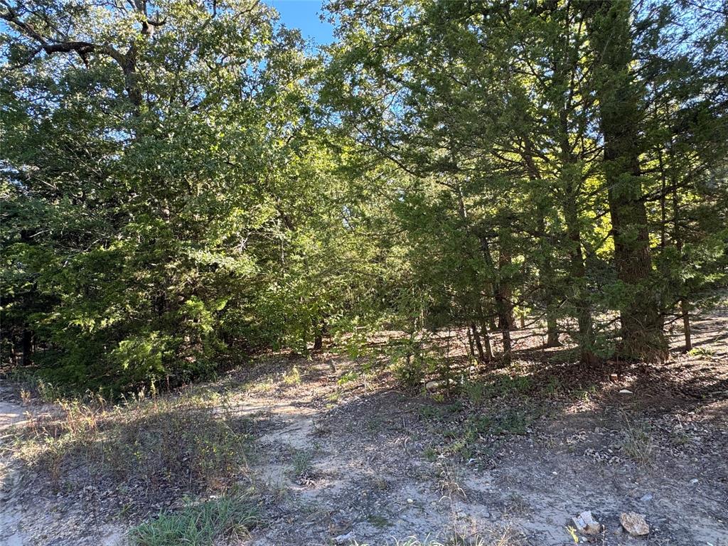 160 Pvt Road - Photo 2