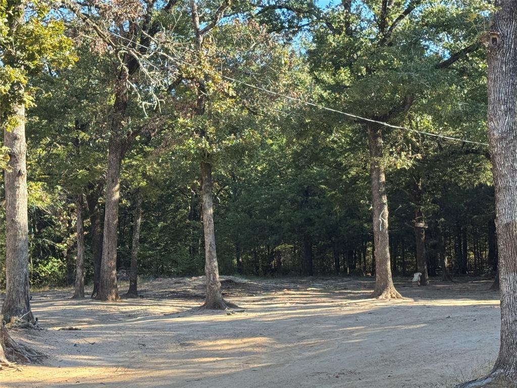 160 Pvt Road - Photo 4