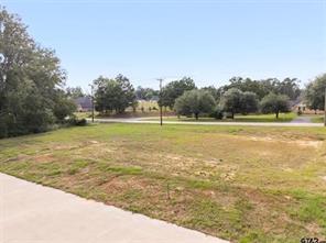14245 County Road 192 - Photo 3