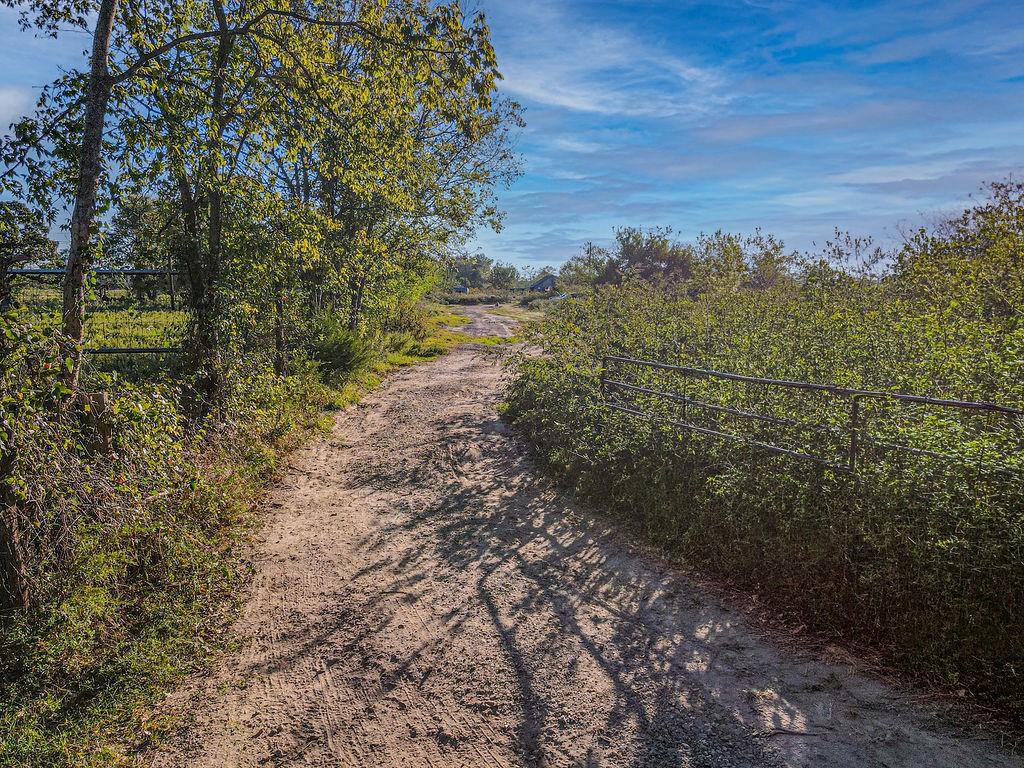 1929 County Road 122 - Photo 10