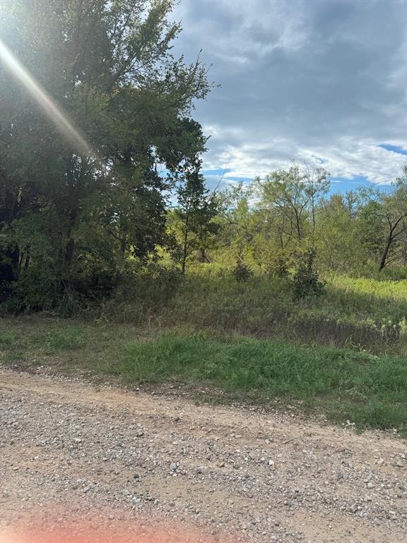 Lot 12 FM 3136 - Photo 2