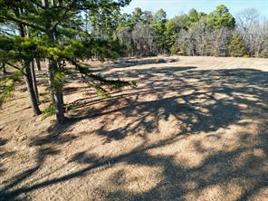 11577 N US Highway 271 - Photo 8