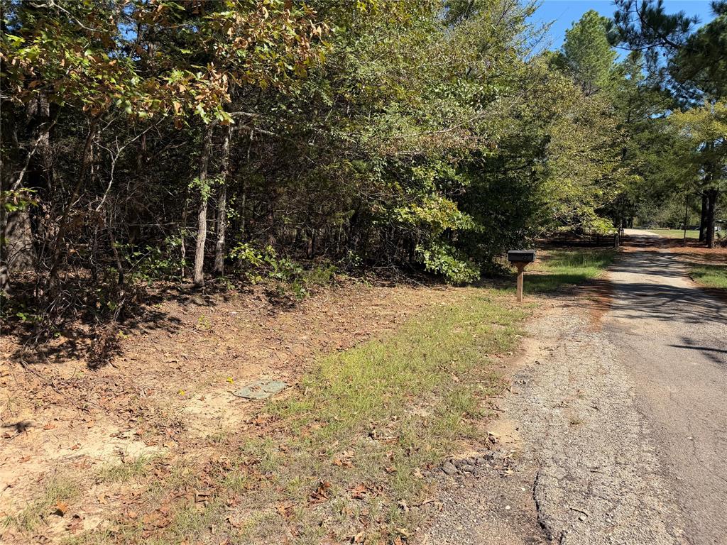 34730 County Road - Photo 1