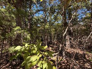 34730 County Road - Photo 3