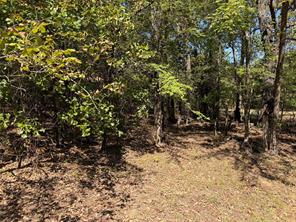 34730 County Road - Photo 5