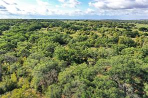 27.12 Acres 199 Highway - Photo 10
