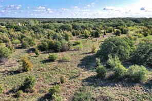 27.12 Acres 199 Highway - Photo 13