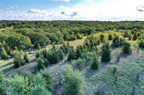 27.12 Acres 199 Highway - Photo 14
