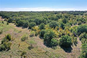 27.12 Acres 199 Highway - Photo 20
