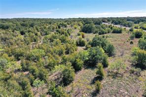 27.12 Acres 199 Highway - Photo 22
