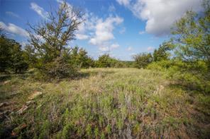 27.12 Acres 199 Highway - Photo 29