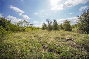 27.12 Acres 199 Highway - Photo 31