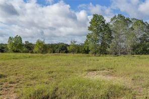27.12 Acres 199 Highway - Photo 5
