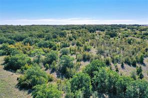 27.12 Acres 199 Highway - Photo 6