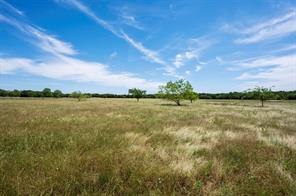 2767 Dowell Road - Photo 10