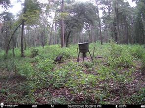 0 CR 2016 - Photo 6