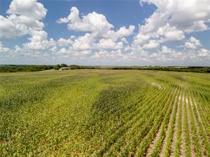 Tract 5 County Rd 3307 - Photo 9