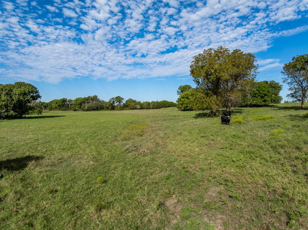 487 Private Road 2138 - Photo 23
