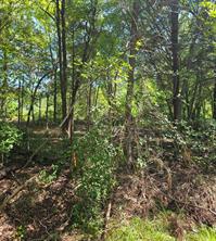 120 High Point Drive - Photo 2