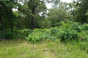 TBD Nicklaus Drive - Photo 3