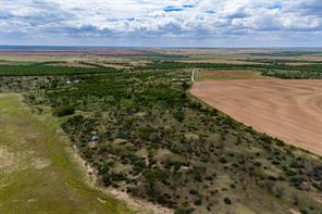 TRACT 5 TBD CR 481 - Photo 6