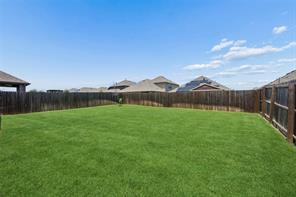 11233 Gold Pan Trail - Photo 23