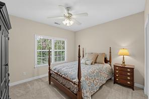210 Black Walnut Drive - Photo 21