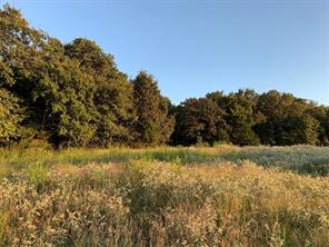 TBD County Road 208 - Photo 11