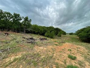 TBD County Road 208 - Photo 12