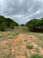 TBD County Road 208 - Photo 13