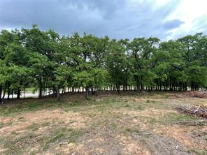 TBD County Road 208 - Photo 14
