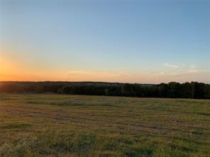 TBD County Road 208 - Photo 16