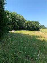 TBD County Road 208 - Photo 17