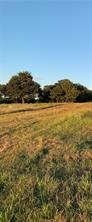 TBD County Road 208 - Photo 18