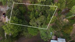22151 Brierwood Drive - Photo 11
