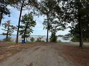 22151 Brierwood Drive - Photo 15