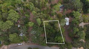 22151 Brierwood Drive - Photo 7