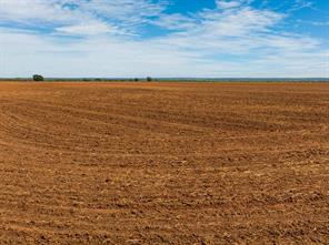 TBD CR 161 - Photo 10
